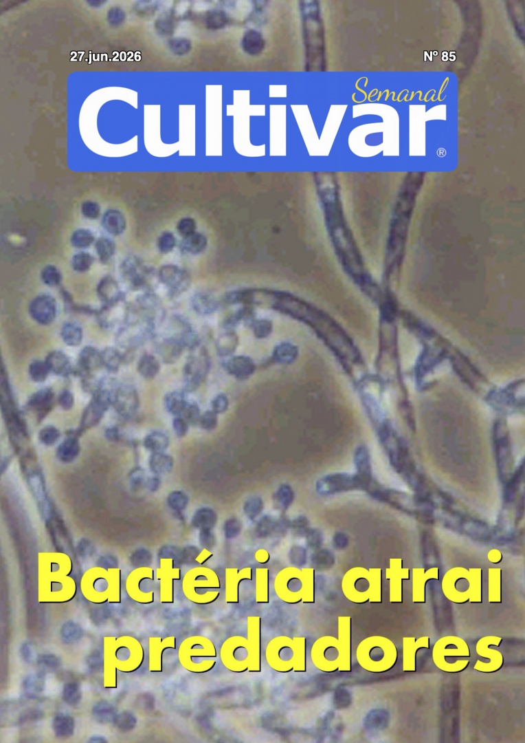 Cultivar Semanal 85