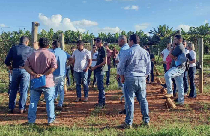 Governo de Goiás abre edital de seleção de novos produtores para projeto de Fruticultura