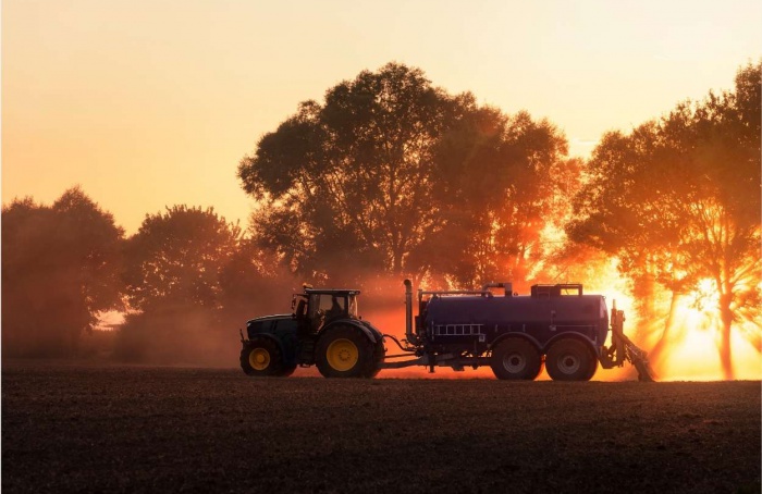 Produção agropecuária do Pará registra crescimento de 16%