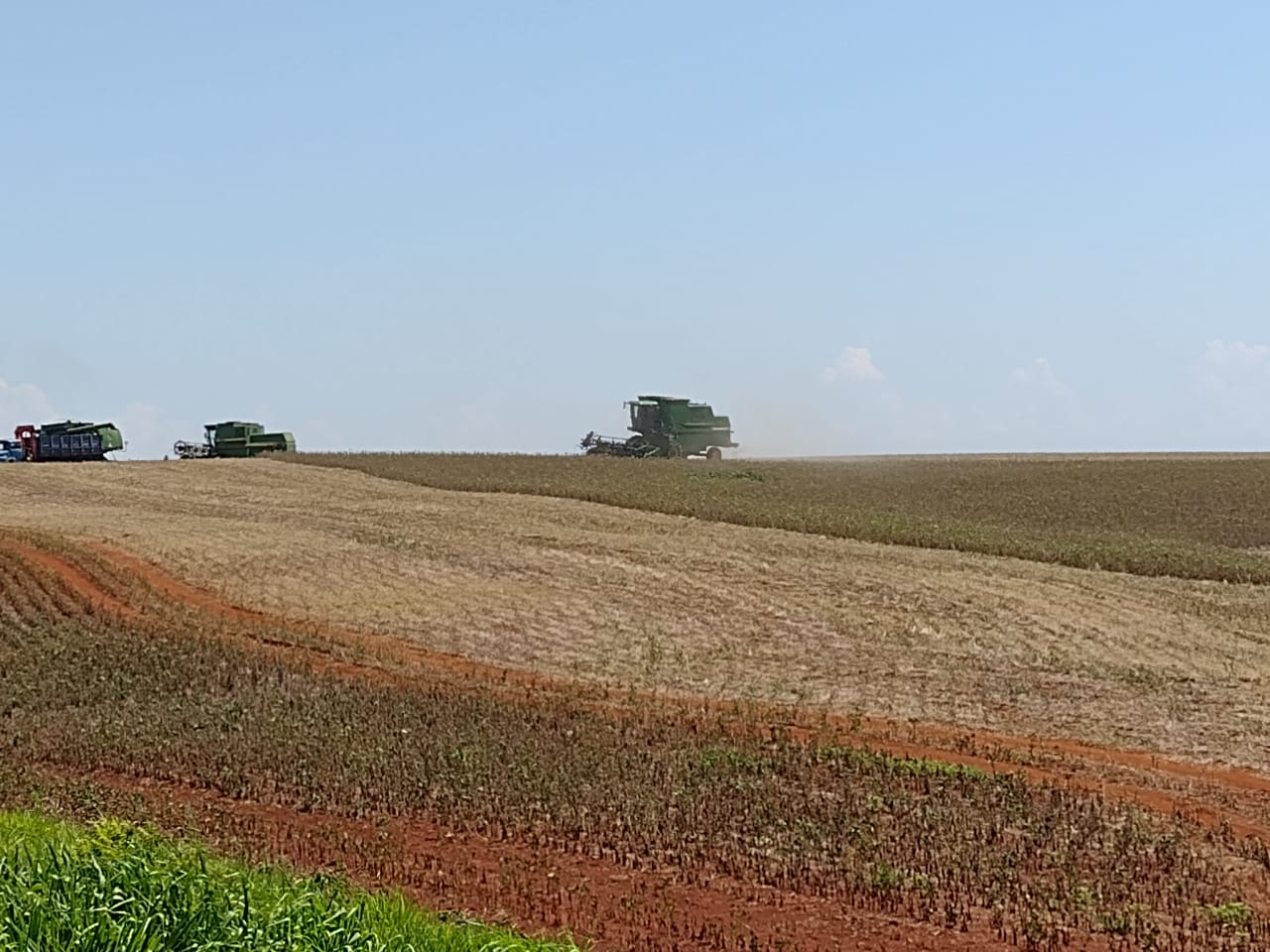 Colheita da soja alcança 3% das lavouras do RS
