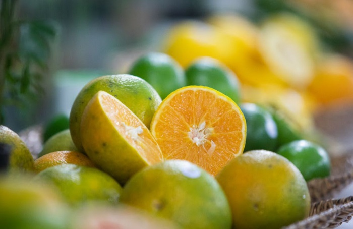 Citricultura brasileira avança com foco em inovação e estratégia