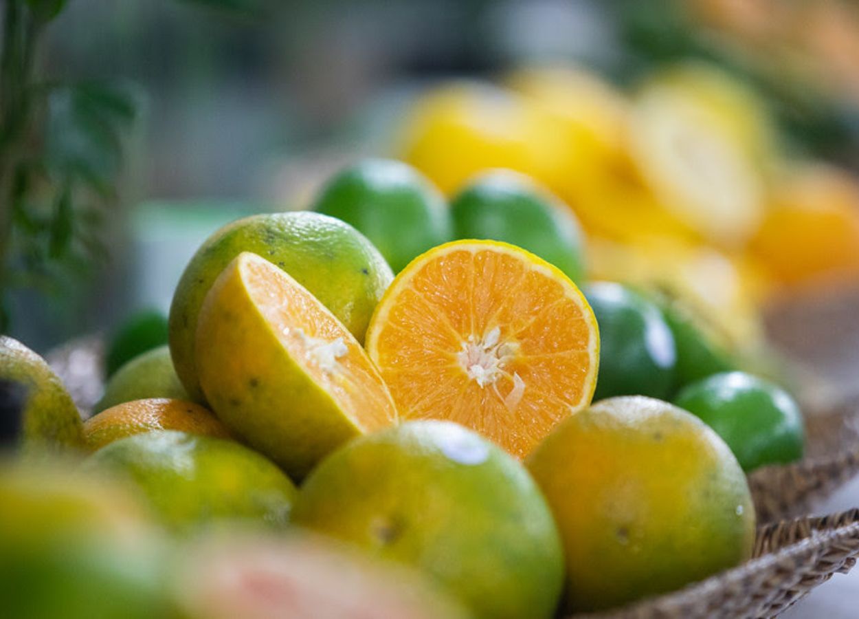 Expocitros 2026 reforça papel da pesquisa diante de desafios sanitários e de mercado