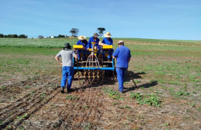 Epagri recomenda nova janela de plantio para o trigo