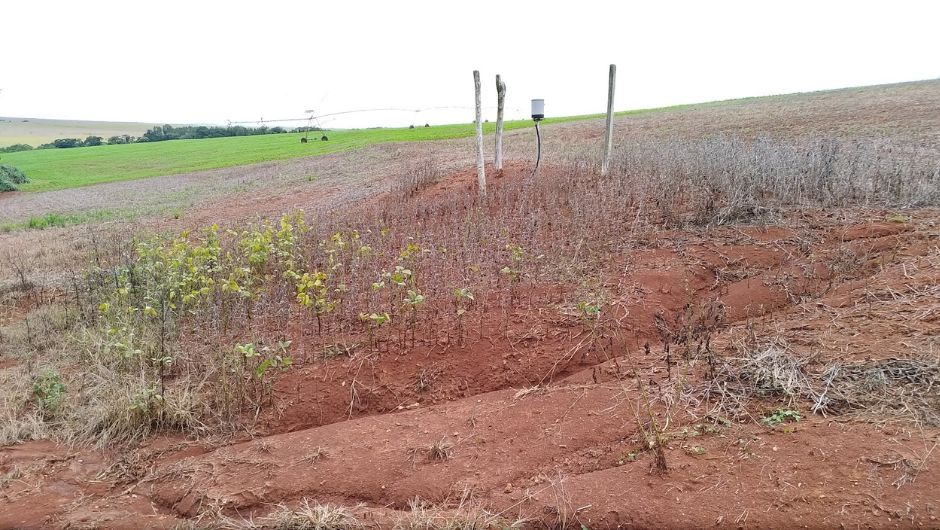 Foto: Alexandre Ortega