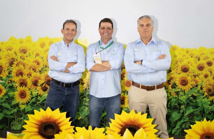 Caramuru atinge safra recorde de girassol com 78 mil toneladas