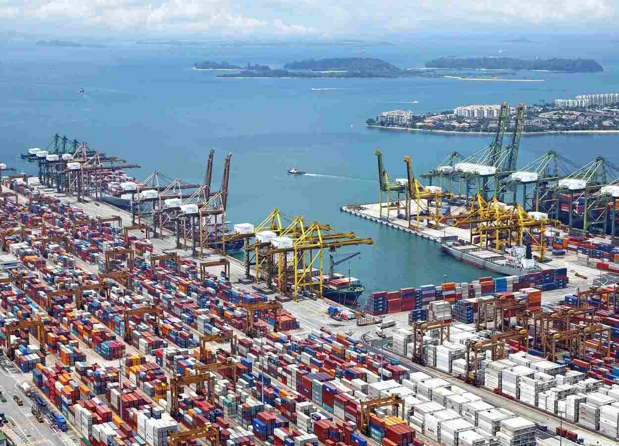 Algodão brasileiro registra novo recorde de exportações em abril
