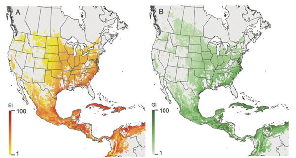 Figura 3 - Adequação climática para Helicoverpa armigera (Hübner) (Lepidoptera: Noctuidae) na América do Norte utilizando a metodologia CLIMEX, levando em consideração os padrões de irrigação e a existência de hospedeiros (culturas) adequados. A) Índice Ecoclimático (EI), indicando condições favoráveis para persistência; B) Índice Anual de Crescimento (GIA), indicando o potencial de crescimento populacional