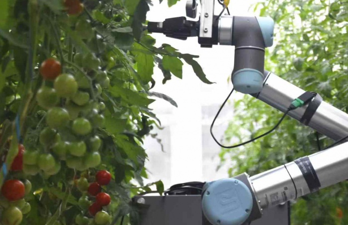 Cientistas criam flores adaptadas a robôs