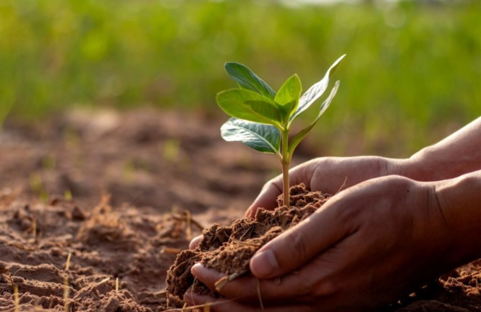 Programa do IAC eleva a fertilidade dos solos paulistas