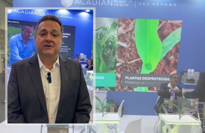 Biossoluções à base de Ascophyllum nodosum são os destaques da Acadian no Congresso Andav 2024