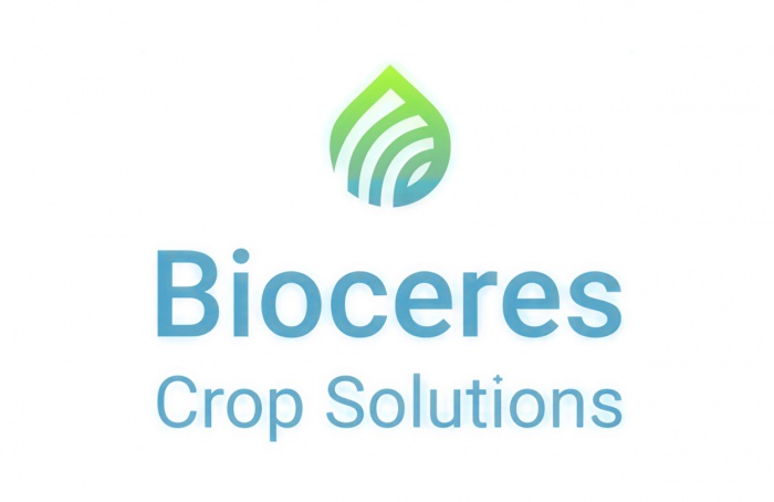 Bioceres registra perda de US$ 179 milhões após execução de ativos