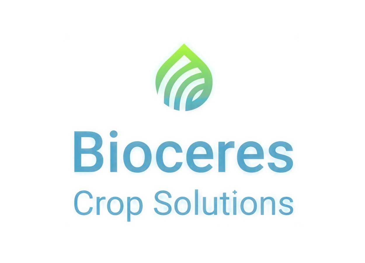 Bioceres registra perda de US$ 179 milhões após execução de ativos