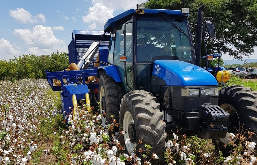 Brasil apresenta inovações para produção de algodão a agricultores do Paraguai