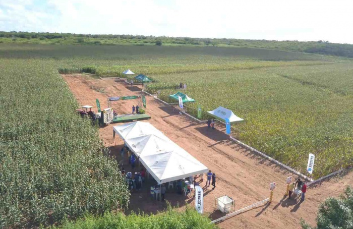 Pequeno produtor do Nordeste mecaniza plantio por meio do programa Prospera