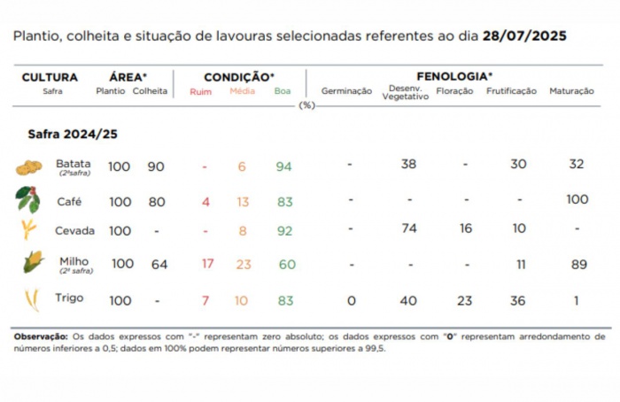 PR Safra 2024/25: chuvas favorecem lavouras de inverno