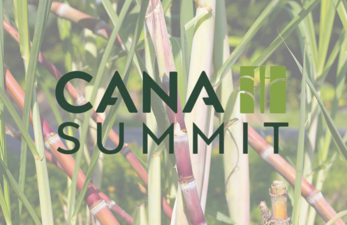 Cana Summit reunirá lideranças do setor sucroenergético em Brasília (DF)