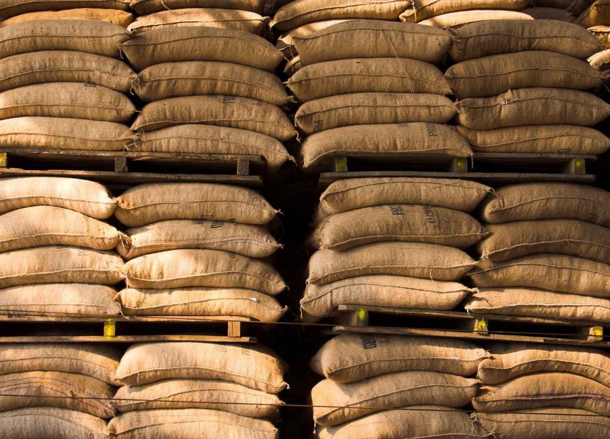 Las exportaciones de café brasileño caerán un 15,7% en la campaña agrícola 2025/26.