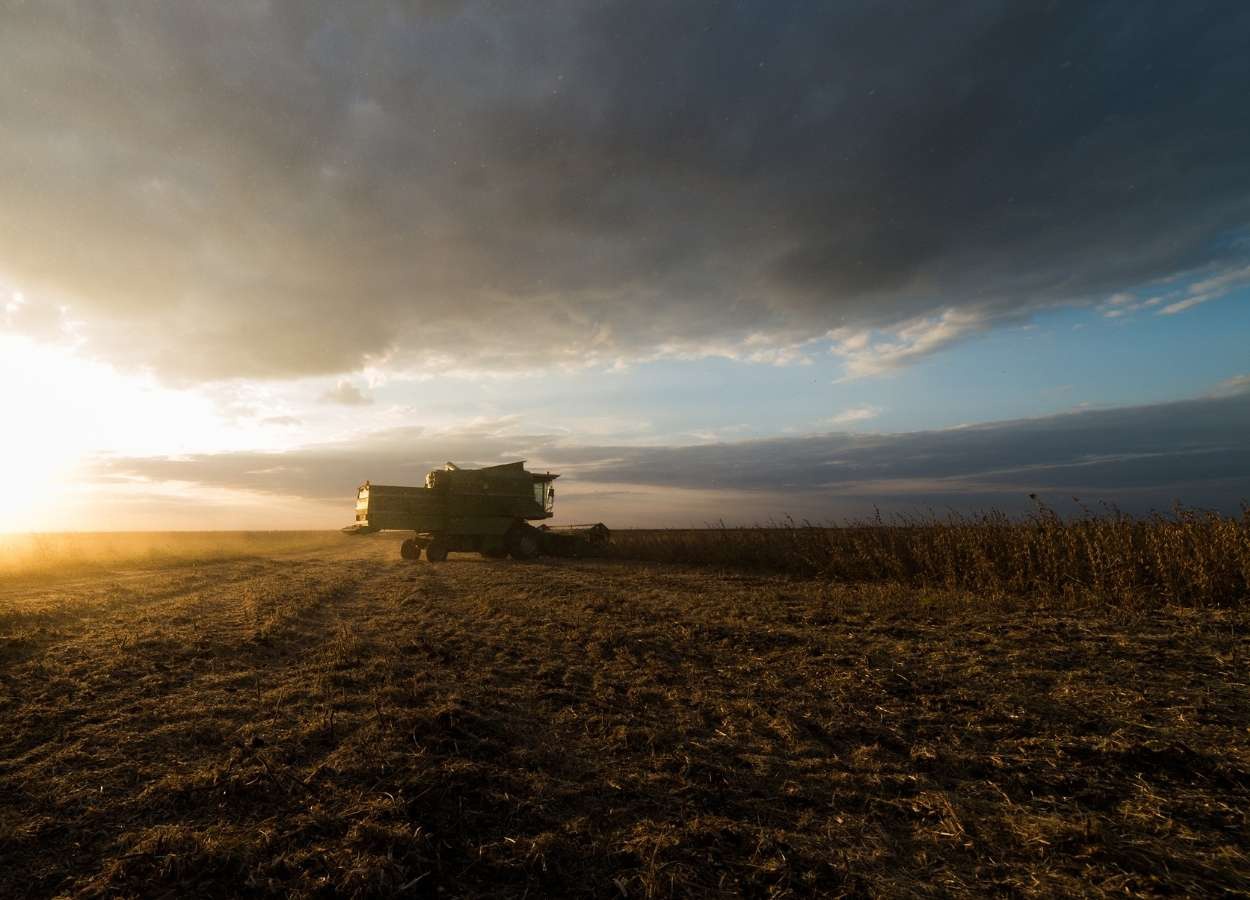 Safra avança com clima irregular, diz Conab