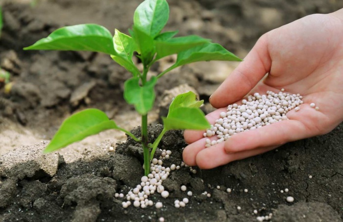 Abisolo lança curso sobre marco regulatório de fertilizantes