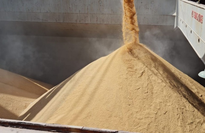 Exportação de arroz sobe 80%, mas receita cai com preço menor