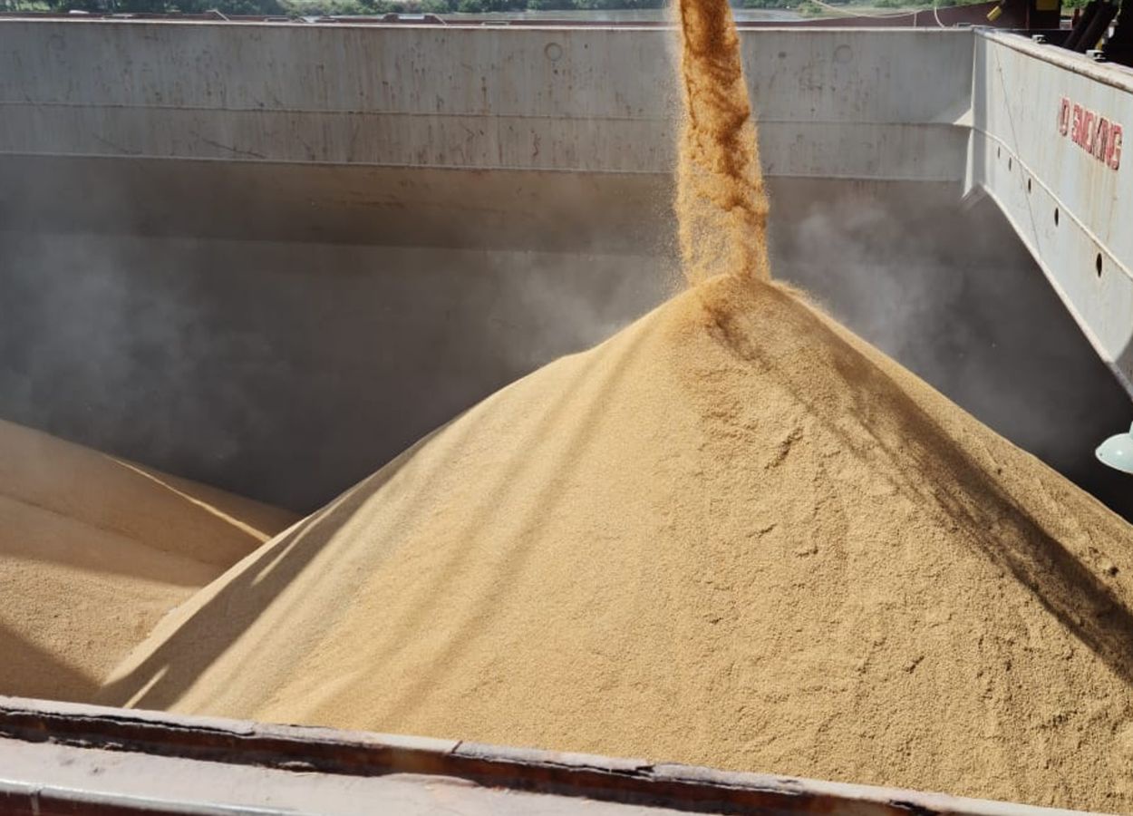 Exportação de arroz sobe 80%, mas receita cai com preço menor