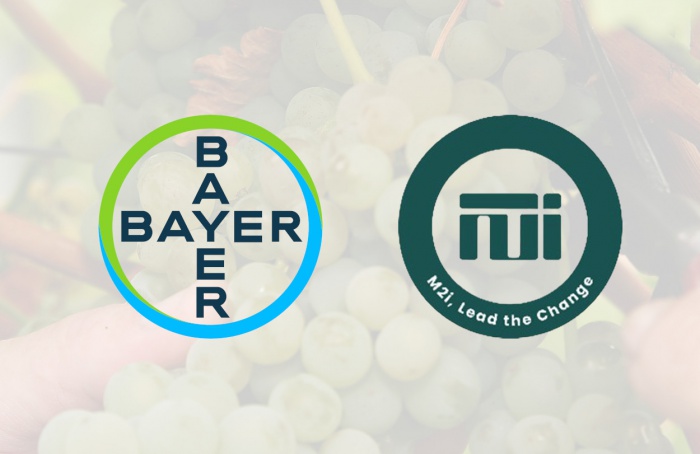 Bayer oferecerá feromônios em gel na América Latina e EUA