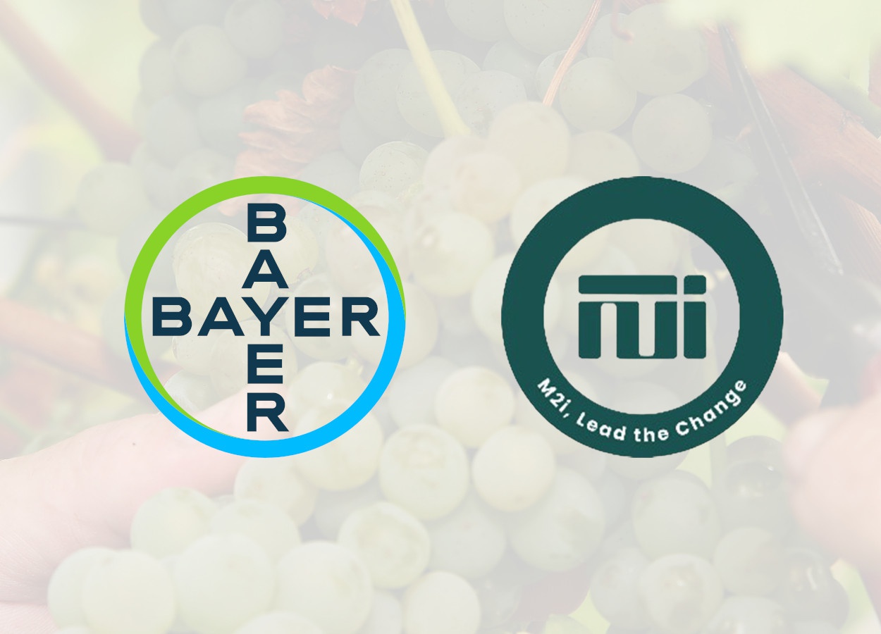 Bayer oferecerá feromônios em gel na América Latina e EUA
