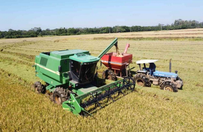 RS Safra 2024/25: colheita do arroz está próxima dos 100%