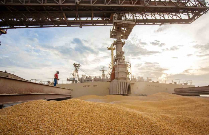 Exportações de milho apresentam queda significativa no mês de junho