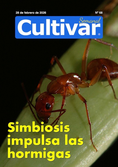 Cultivar Semanal 68