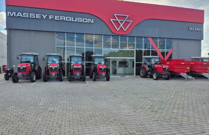 Norte do ES acelera pré-colheita do café conilon