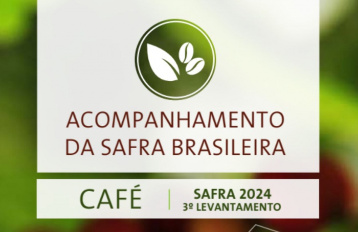 Produção de café em 2024 deve atingir 54,79 milhões de sacas, estima Conab