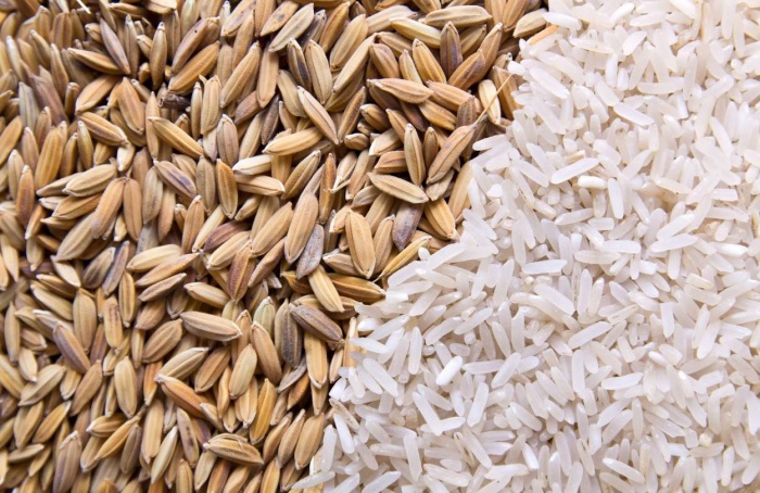 Exportações de arroz crescem e somam 148 mil toneladas em setembro