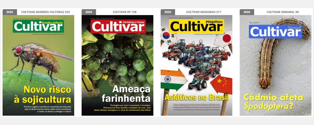 Capas - 2025