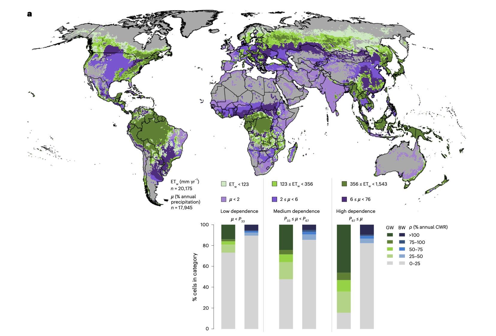 Evaporação ponderada pela proporção de cobertura florestal em células de grade de 0,5° × 0,5° (ETw em mm ano⁻¹) que cai parcialmente como precipitação em áreas agrícolas (μ em % da precipitação anual) em níveis de dependência baixo (μ &lt; 33º percentil P33), médio (P33 ≤ μ &lt; 67º percentil P67) e alto (μ ≥ P67) (acima). Percentagem do número total de células que satisfazem as necessidades hídricas das culturas GW e BW (ρ em % da necessidade hídrica anual) para cada nível de dependência da umidade (abaixo) -&nbsp;doi.org/10.1038/s44221-025-00518-4