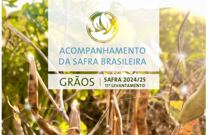 Brasil deve colher safra recorde de 345,2 milhões de toneladas em 2024/25