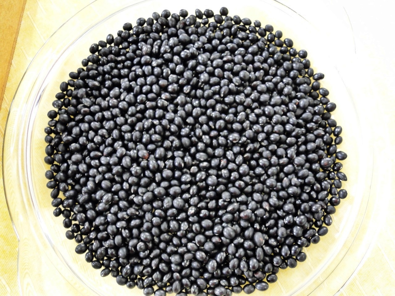 Soja preta - As propriedades funcionais da soja beneficiam a saúde dos seus consumidores