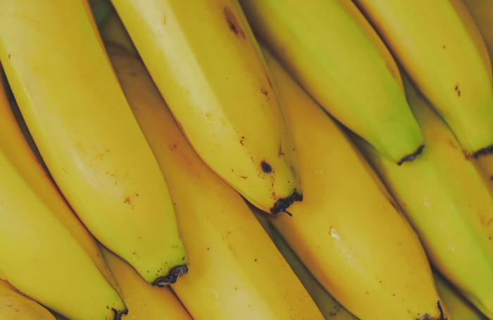 Mudanças climáticas ameaçam produção de bananas